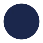 Record SVG Icon